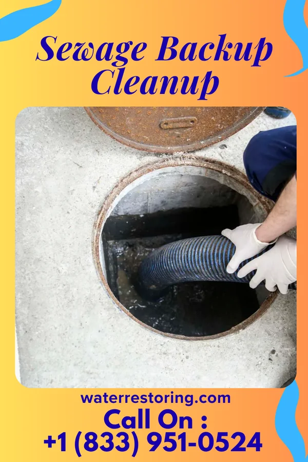 Sewage Backup Cleanup in Summerton, SC